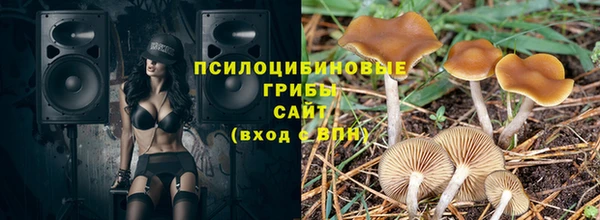 трава Балахна