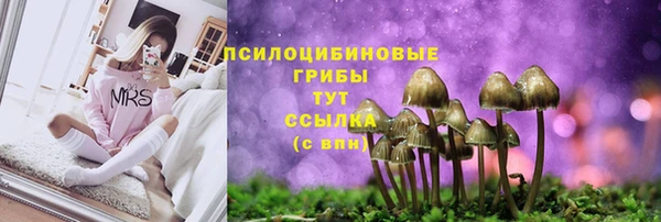 трава Балахна