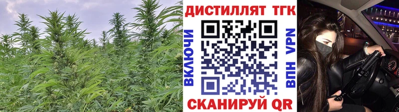 Купить  Старая Русса  ТГК концентрат 