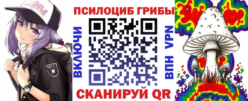 Купить  Старая Русса  Псилоцибиновые грибы прущие грибы 
